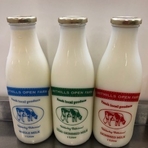 Milk